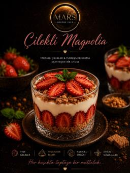 MAGNOLİA